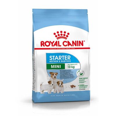 Royal Canin Mini Starter Anne ve Yavru Köpek Maması 4 kg